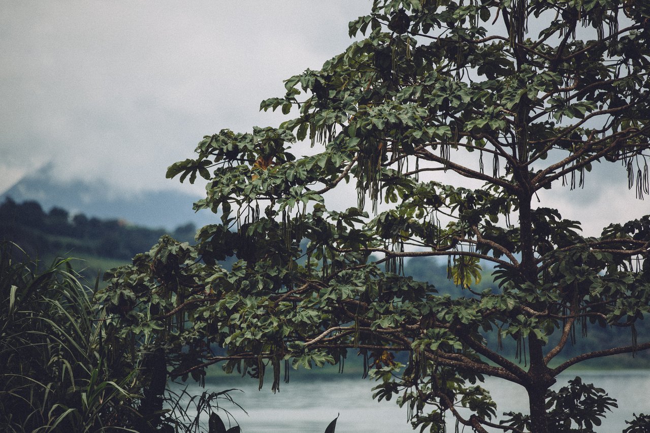  Punta Sabana & Mar Serena