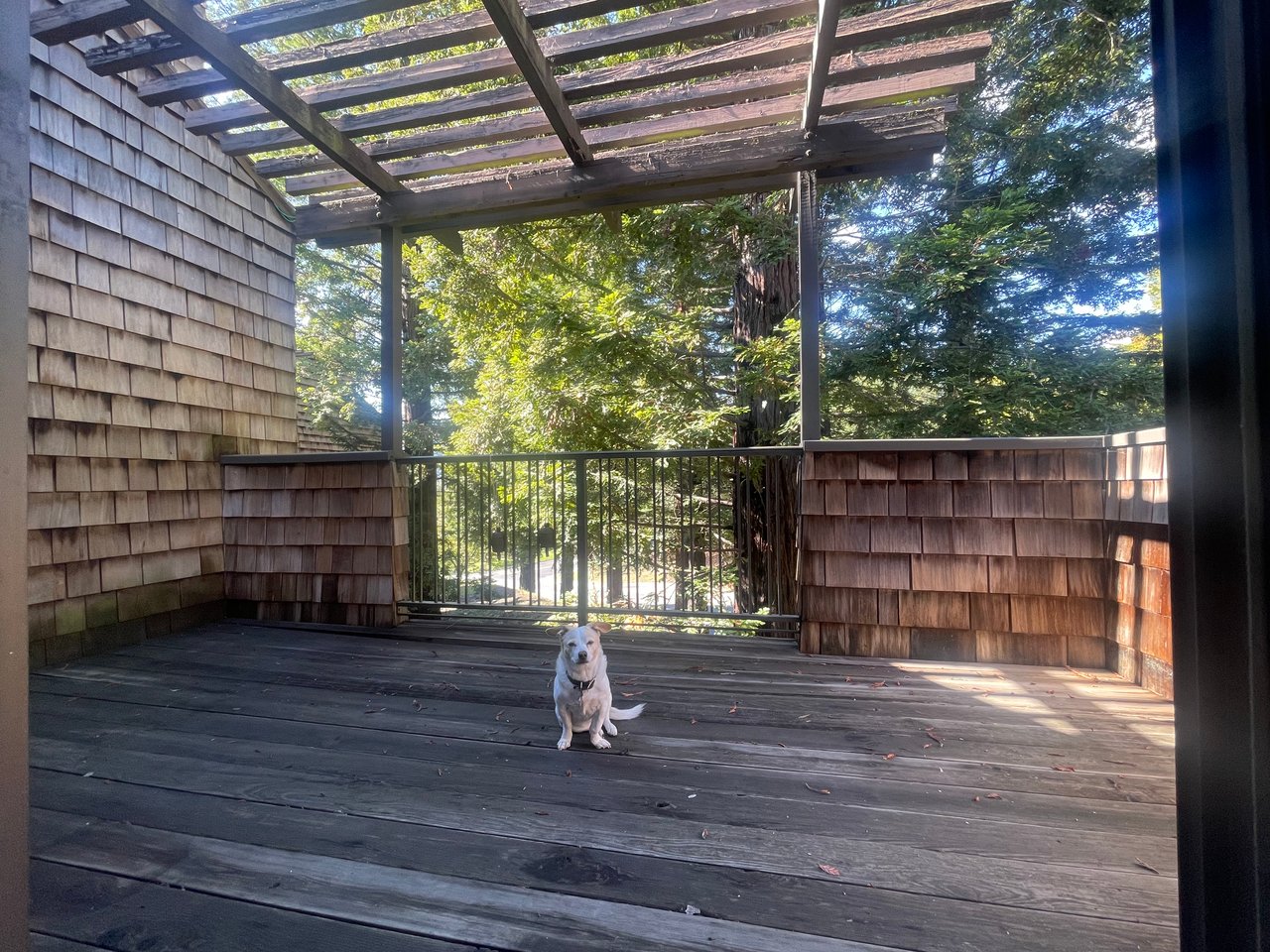 Orinda Woods Opportunity