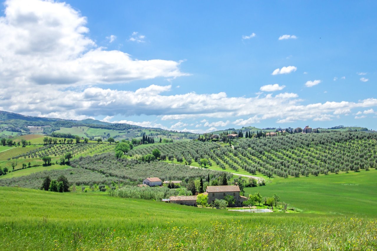 Organic Agriturismo in Cinigiano