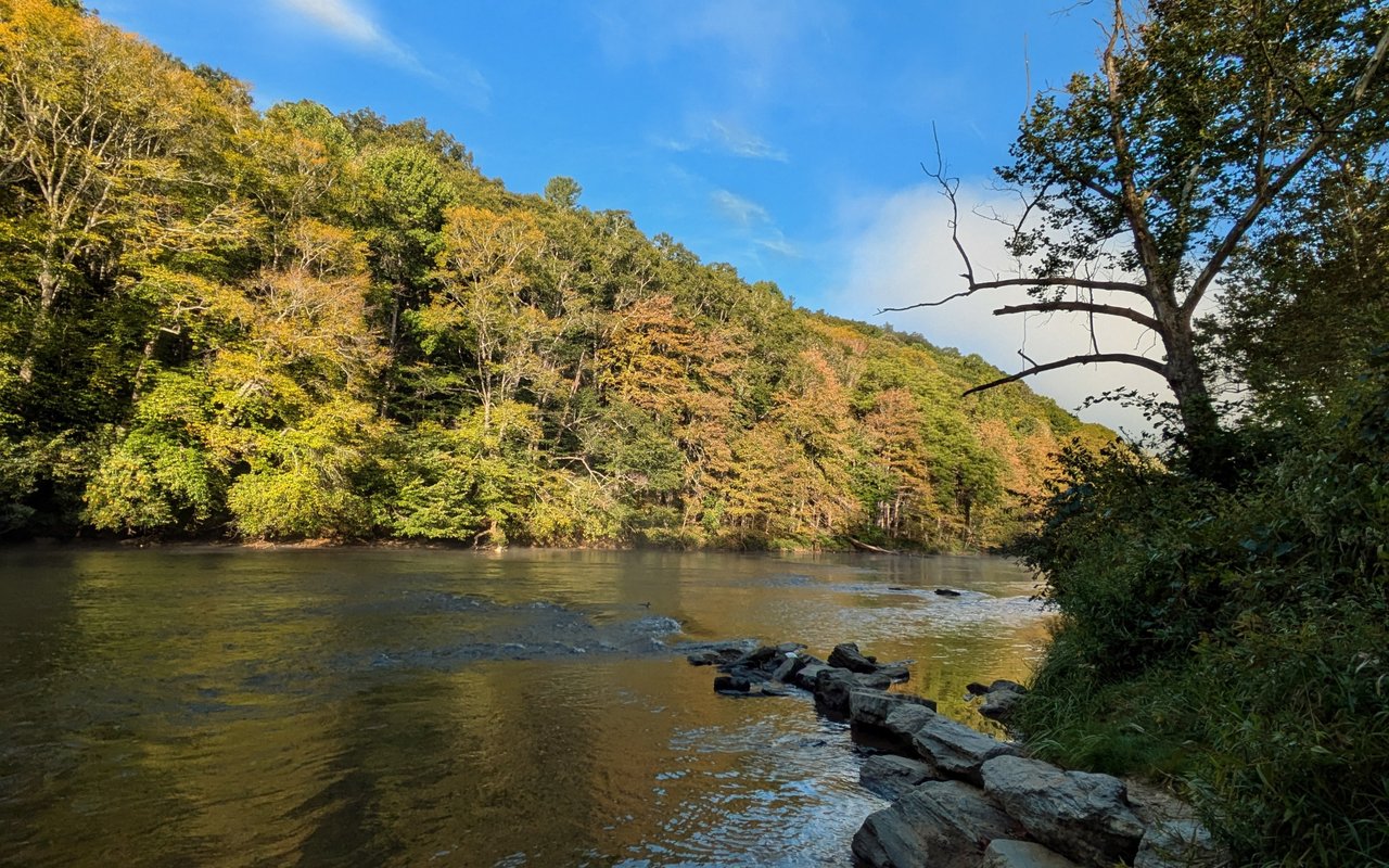 Beaverdam