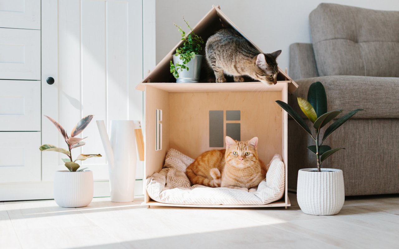 Quick, Inexpensive Upgrades to Prepare Your Home for Selling