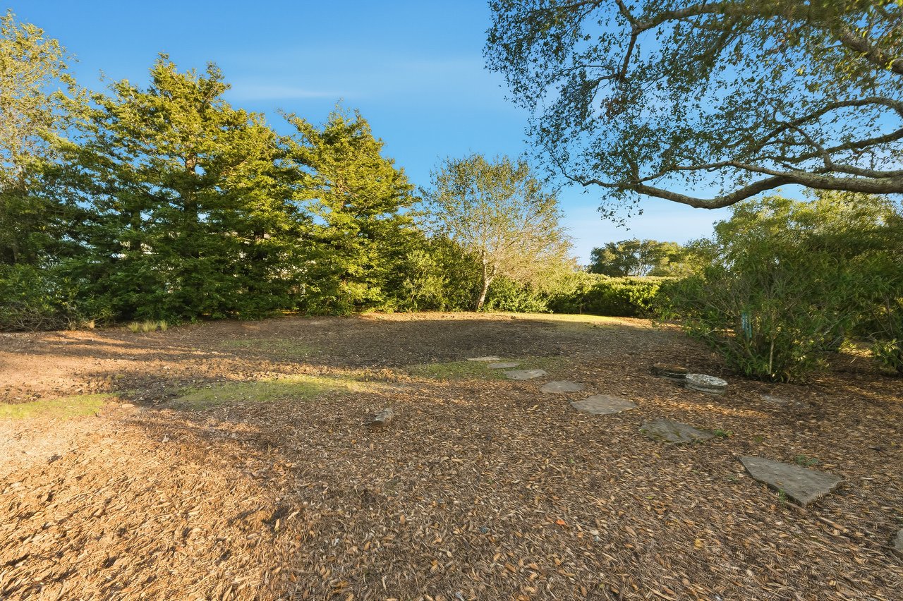 13918 Mir Mirou Drive