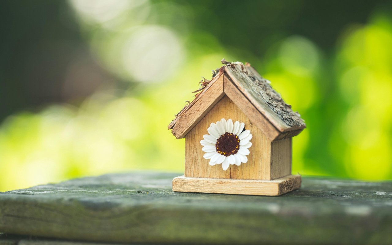 4 Ways to Make an Offer that Will Stand out This Spring by Erik Galloway