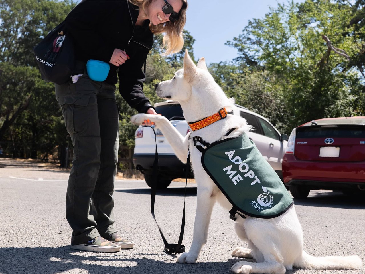 5 Special Ways to Have a More Rewarding Trip to Sonoma County