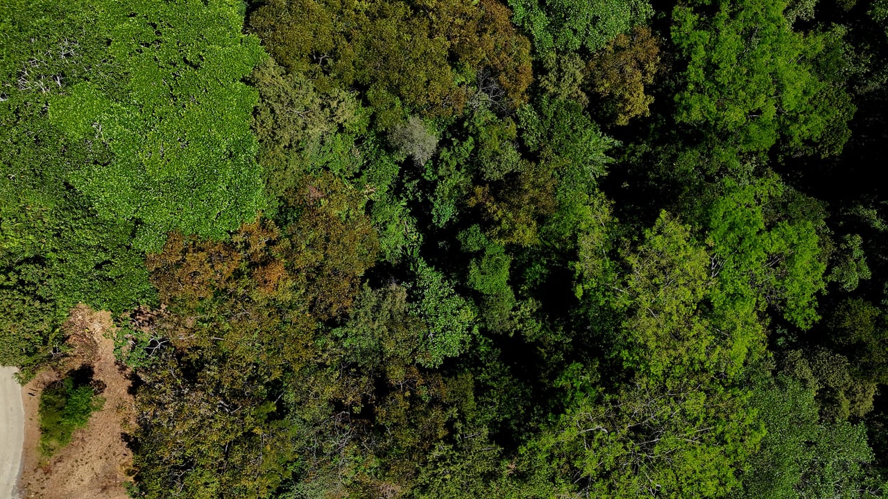 Ocean View Property with Plantel and Trails in Hatillo – Ready to Build