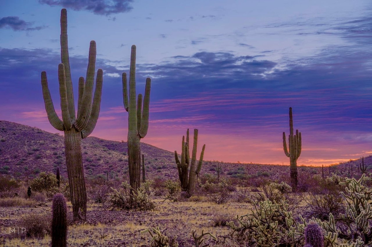 10 Fun Things To Do in August! cover