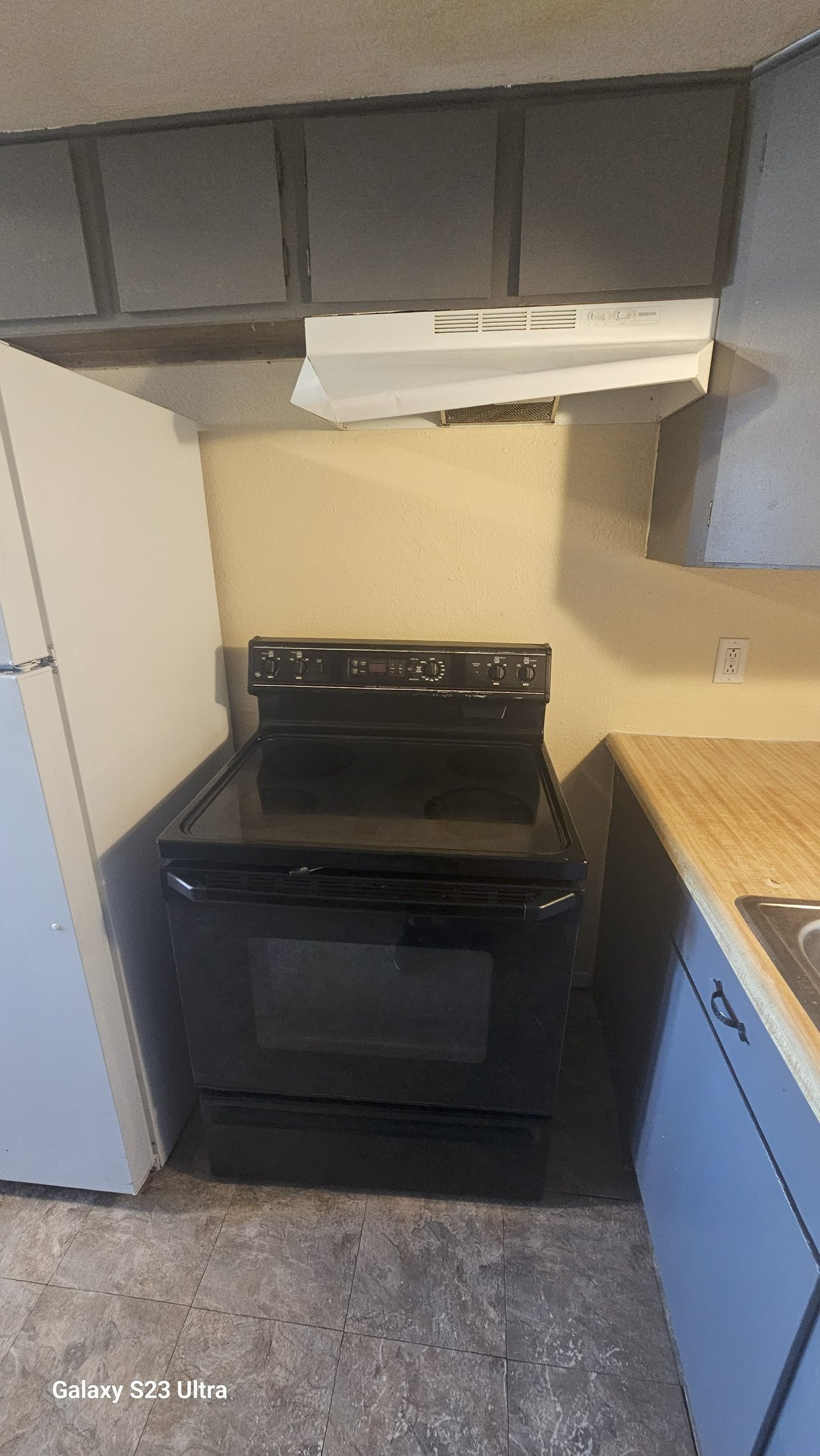 184 Judy Court #B