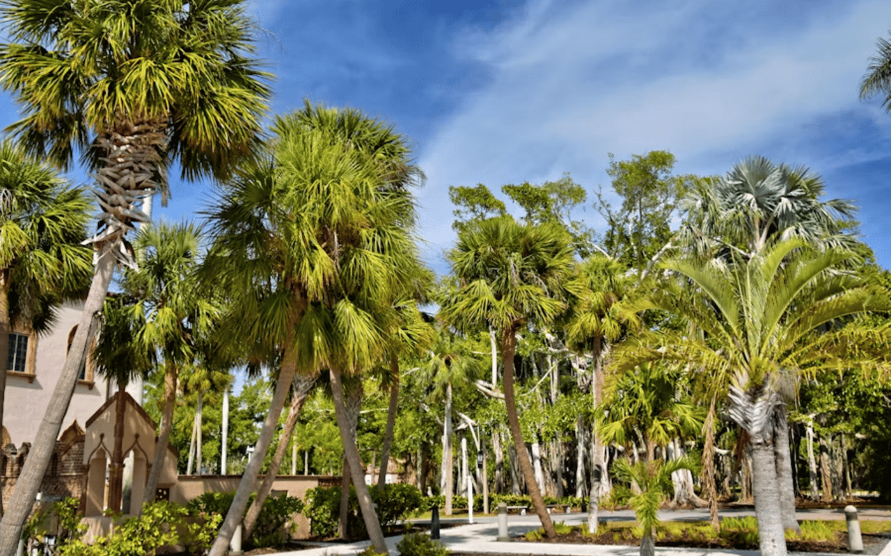 Top Landscapers in Ocala FL to Improve Curb Appeal