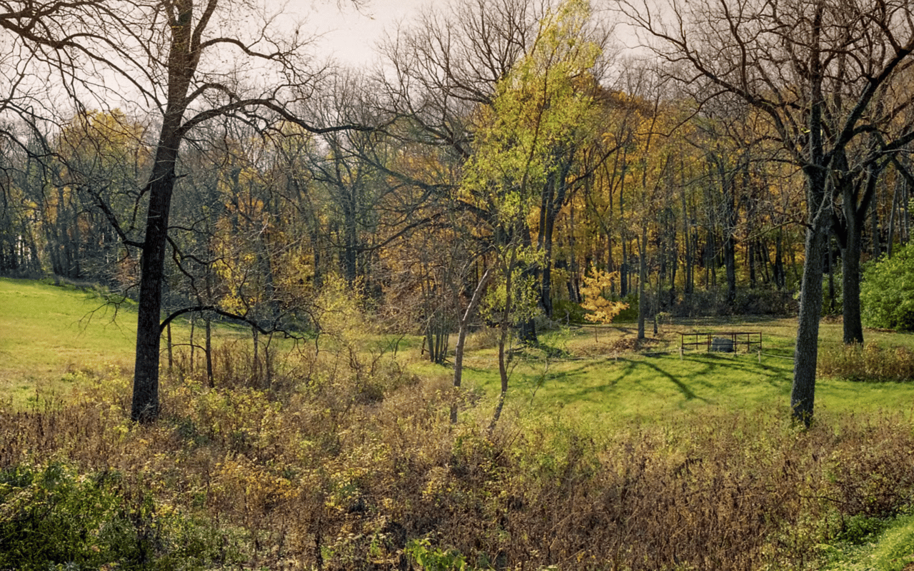 Union Grove
