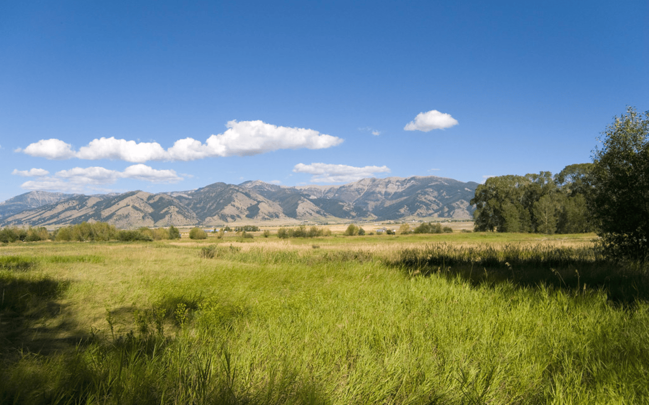 Everything You Need to Know About Moving to Bozeman, MT