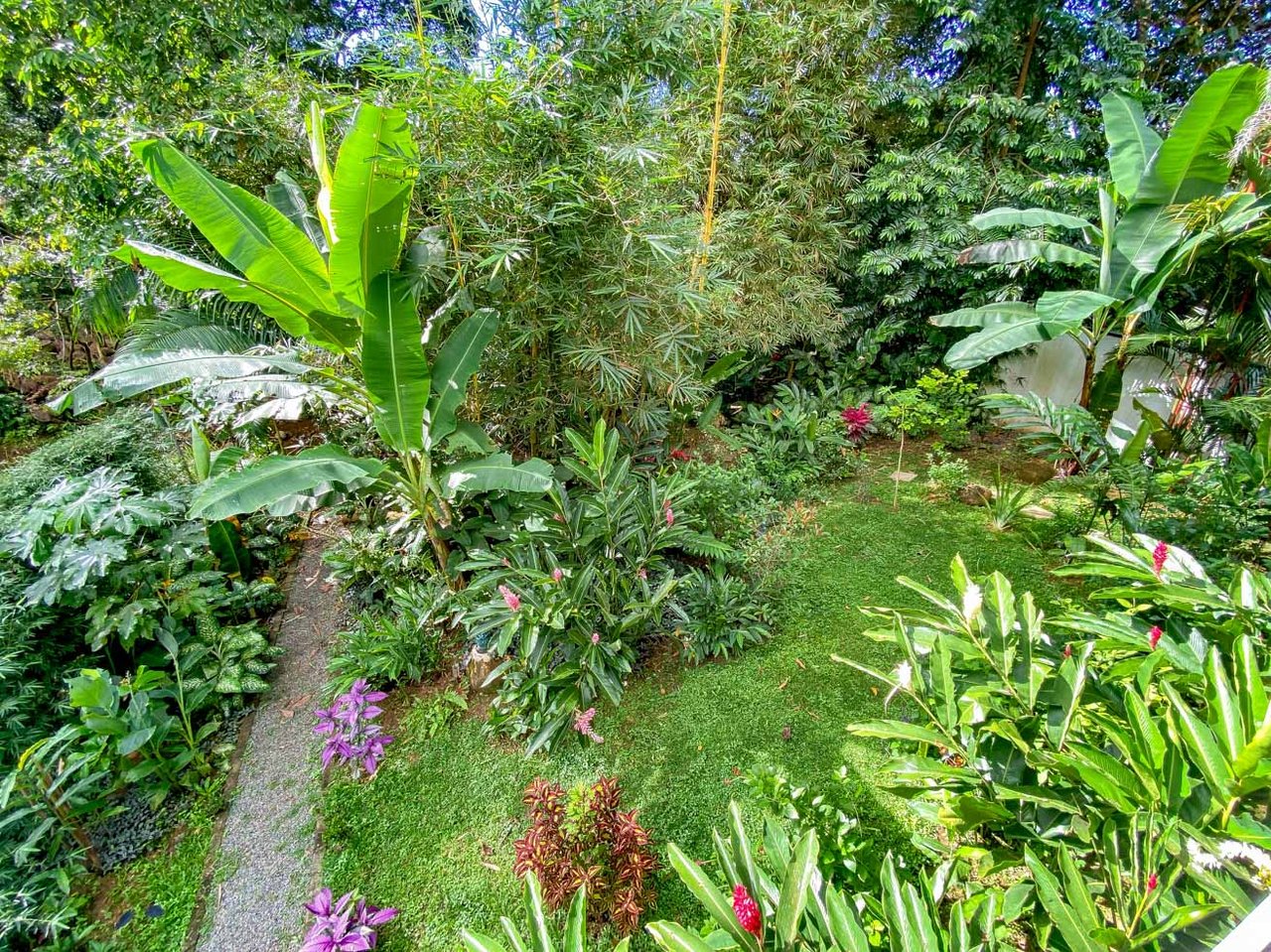 Tropical 4-Bedroom Home for Sale in Uvita | Pool & Airbnb Income