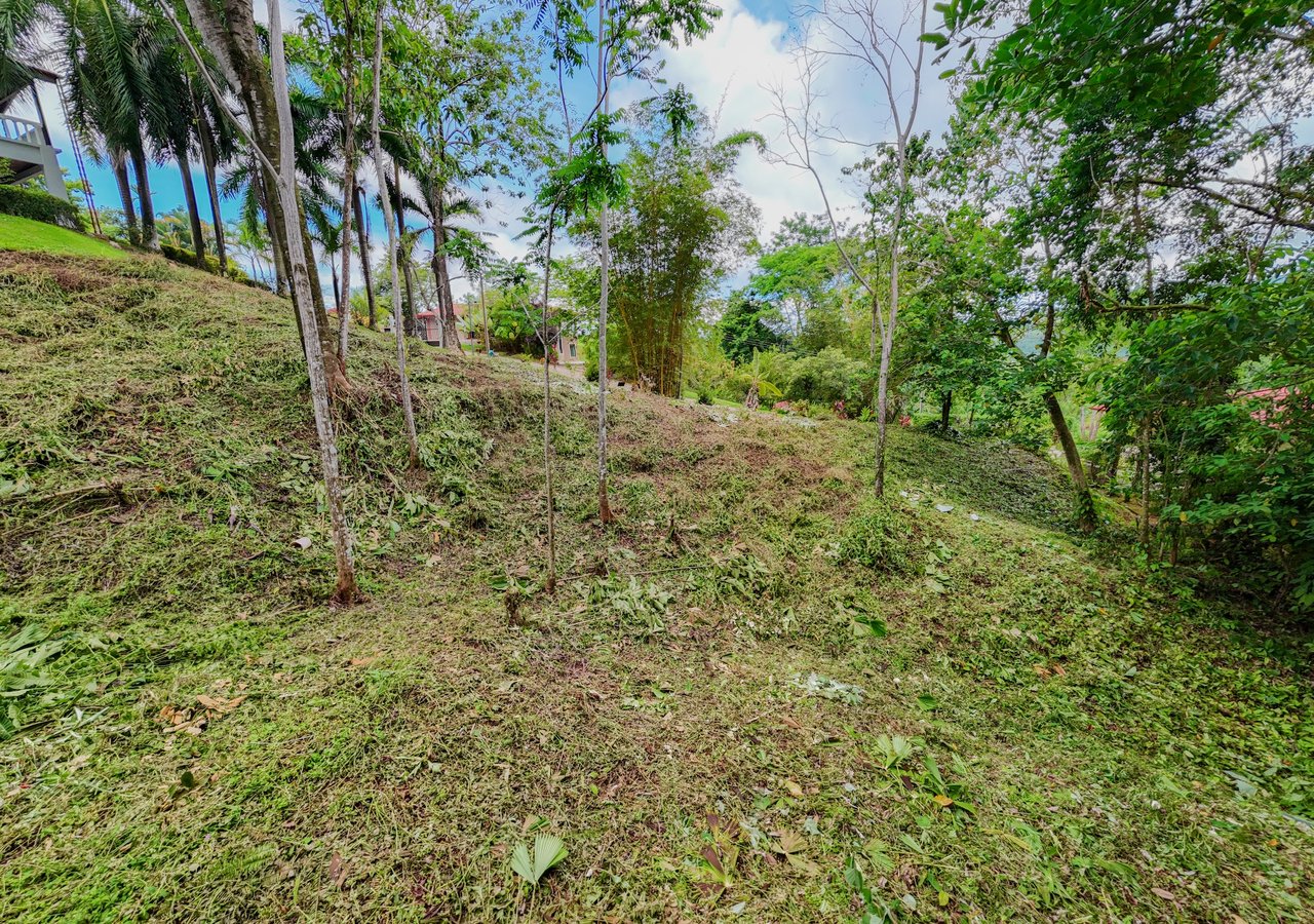 Build-Ready Lot for Sale in Ojochal – Palmera del Trópico Phase 9 | Gated Community, Nature & Beaches Nearby