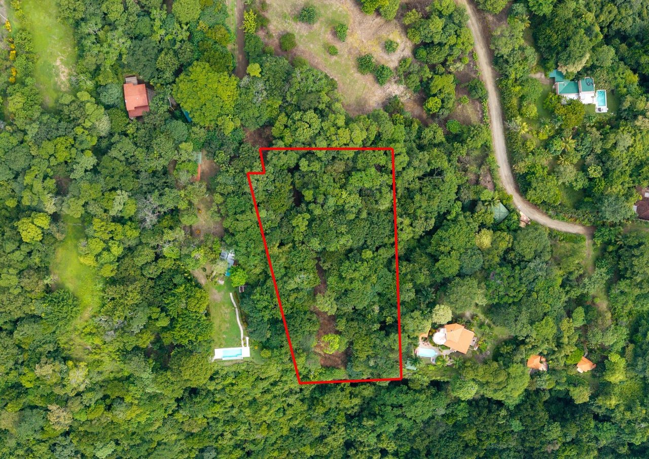 Pacific View Building Lot, Santa Teresa, Puntarenas