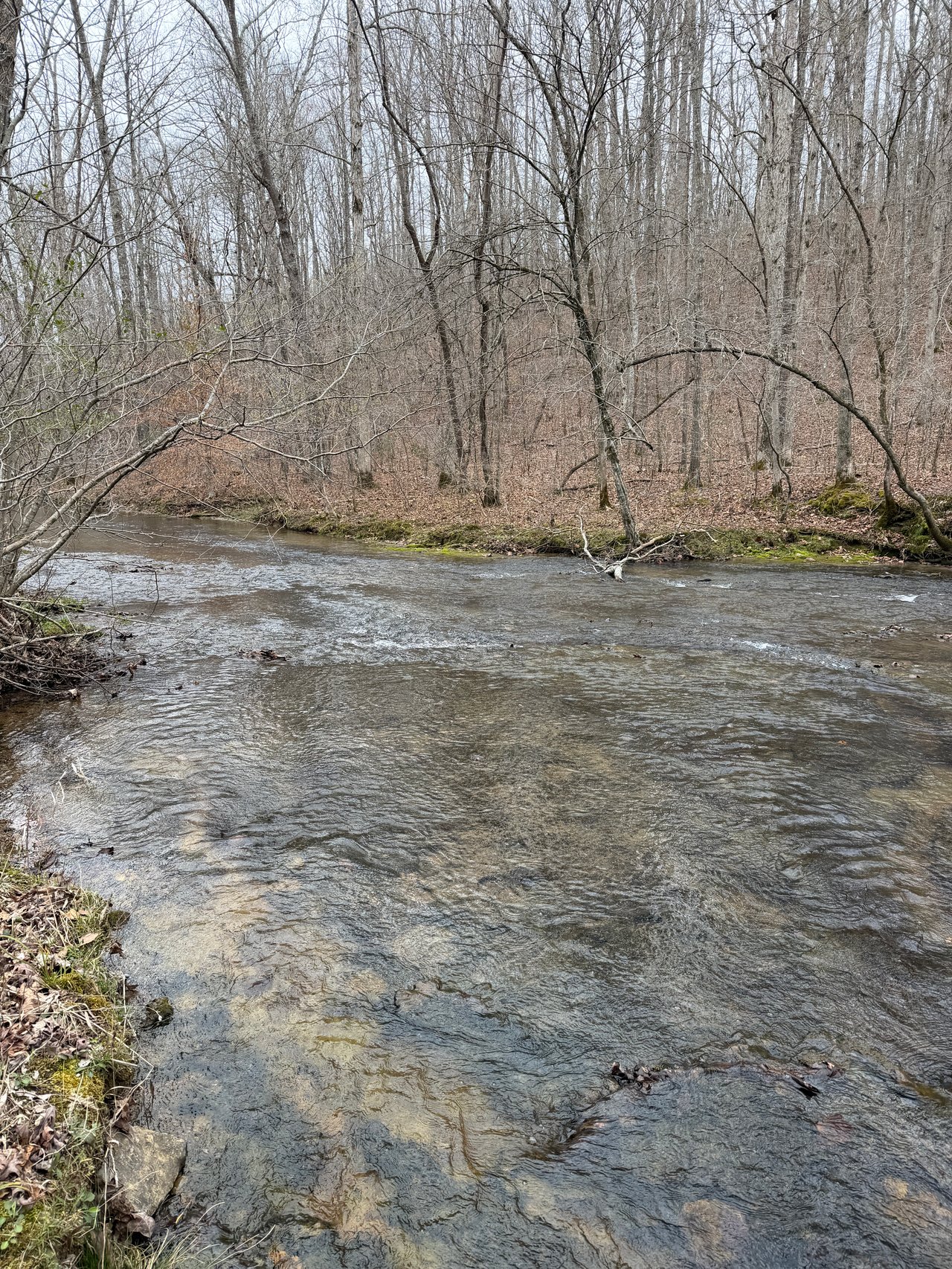 Nashville Equestrian Property