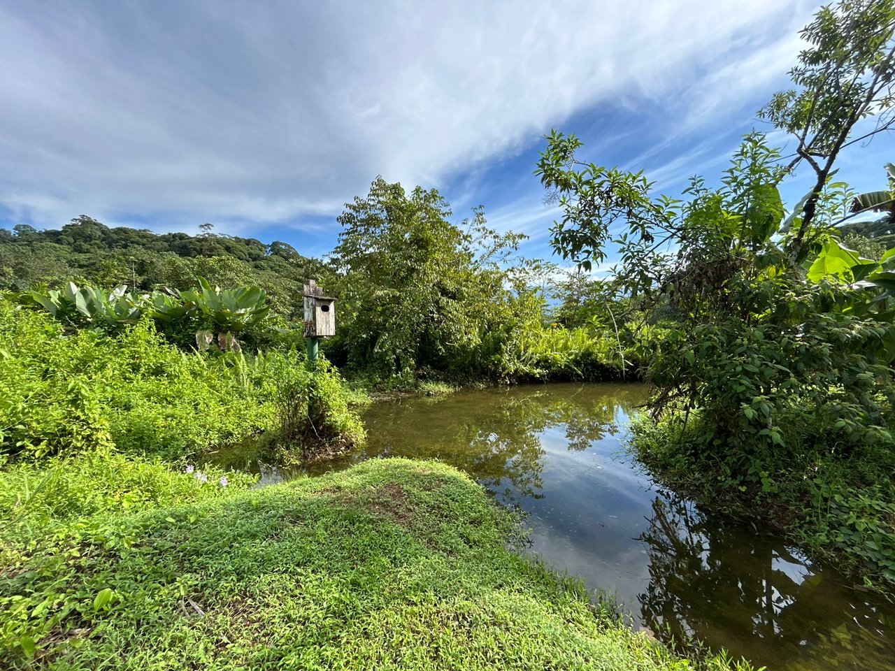 60 Acre Fully Sustainable and Impactful Conservation Initiative Near Golfito