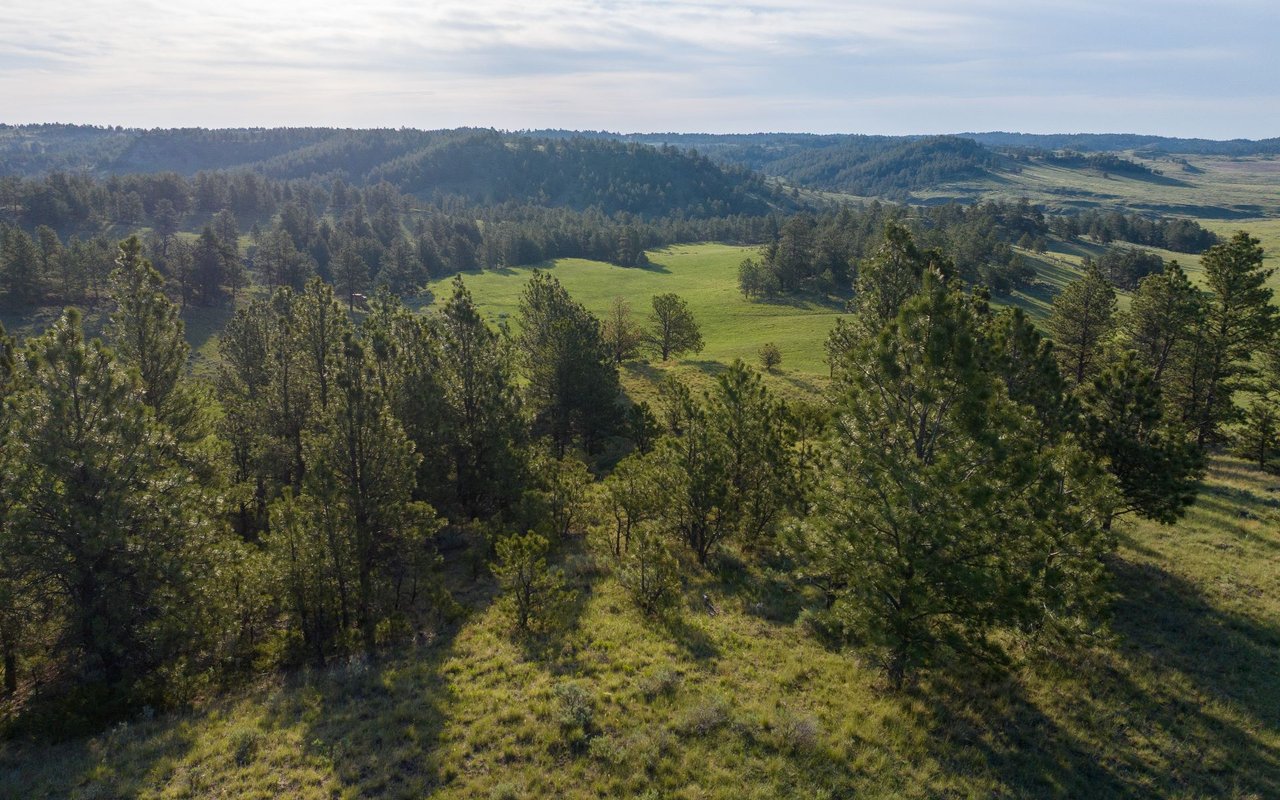 Elk Rich Ranch