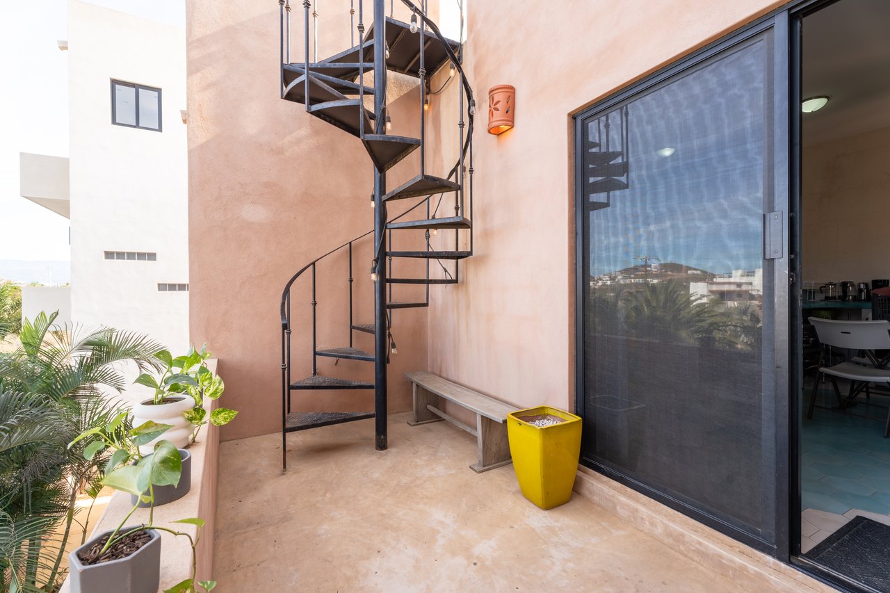 Main studio patio at The Studio House in Villas de Cerritos with terrace seating and cactus garden views in Cerritos, Baja California Sur.