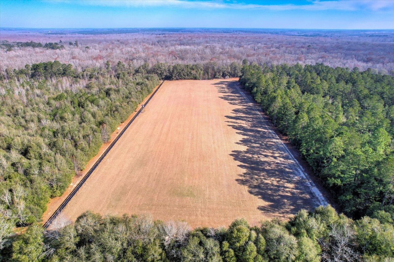 The Lott Bluff River Preserve