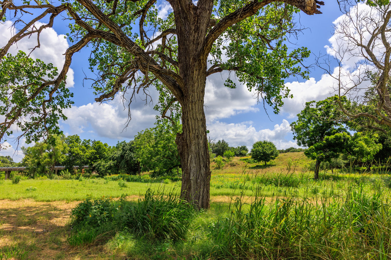 Live Oak Creek Ranch 