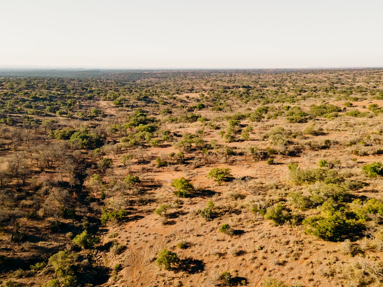 510 Carls Pass Llano County 378 Acres