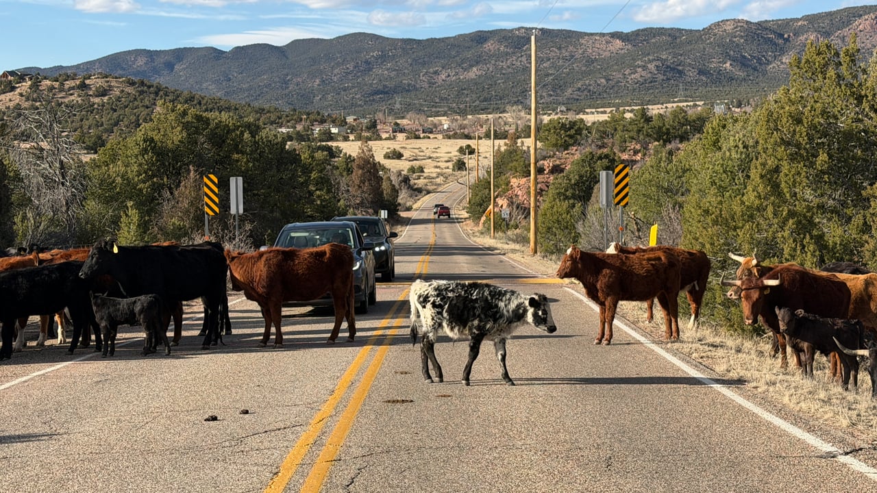 The Royal Gorge: Colorado’s Ultimate “WOW” Experience