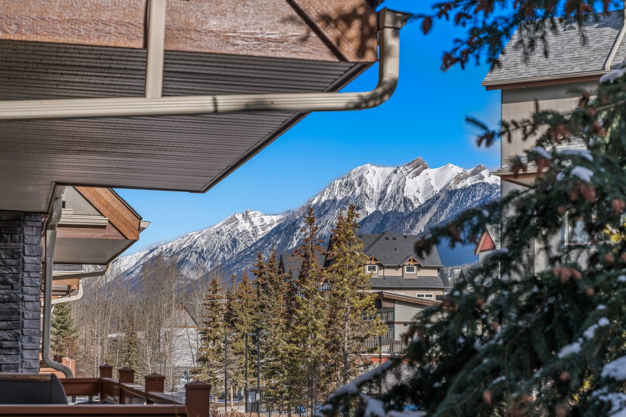 222 - 101 Montane Road