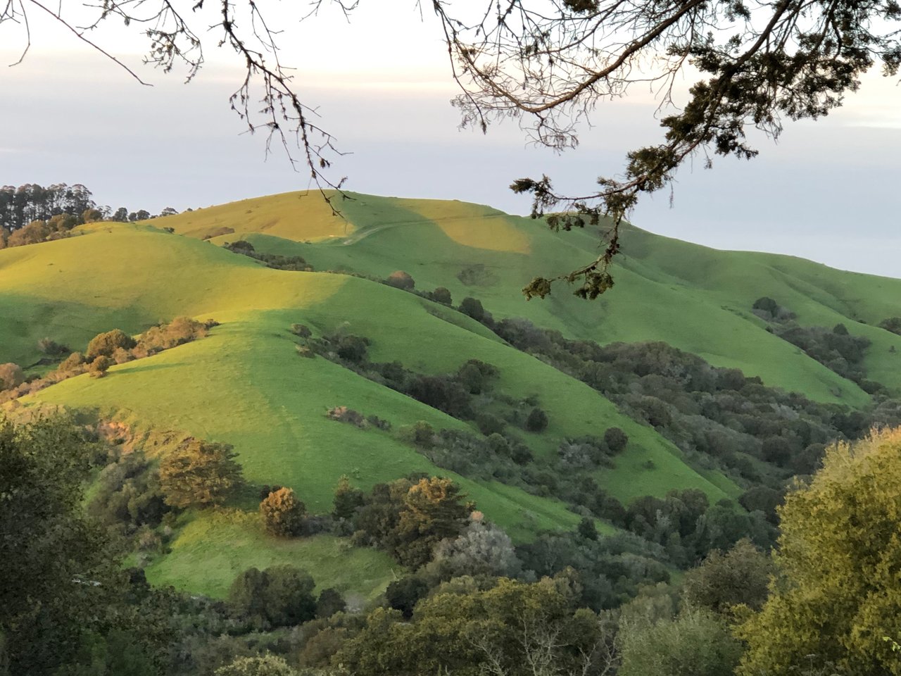 Sweet Updated Mid Century Bungalow