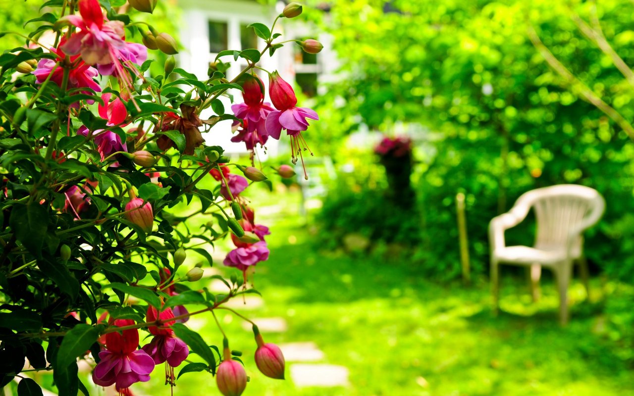 Get a Head Start on Spring