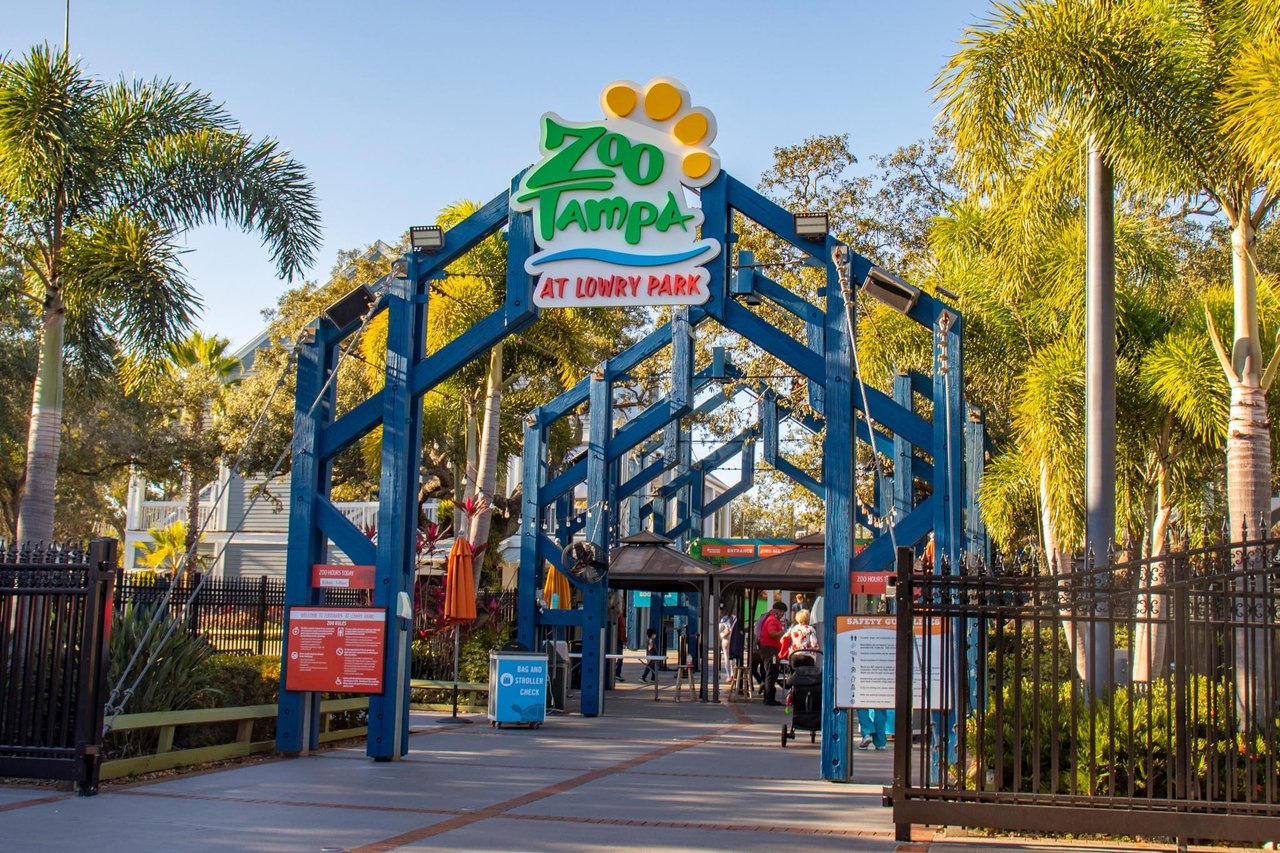 Families exploring ZooTampa at Lowry Park with wildlife exhibits and interactive animal experiences in Tampa, Florida.