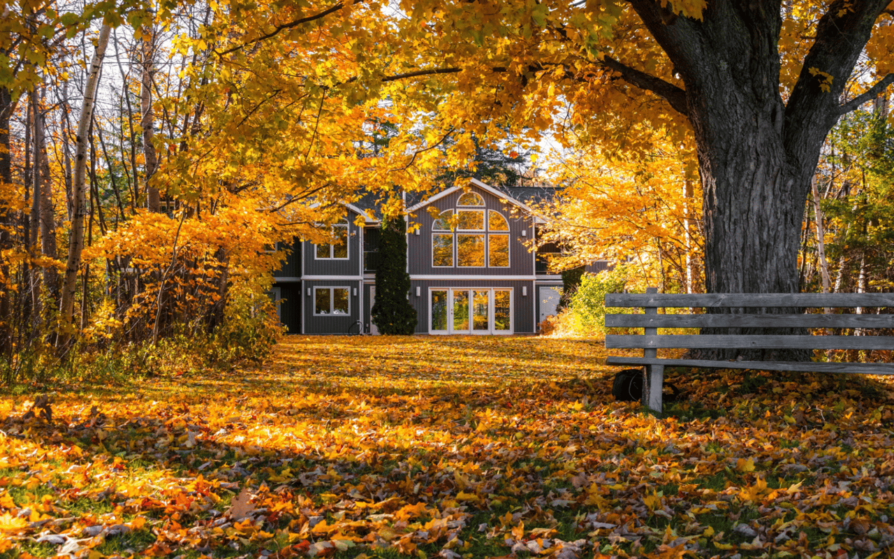 7 Best Neighborhoods to Live in the Greater Lansing Area