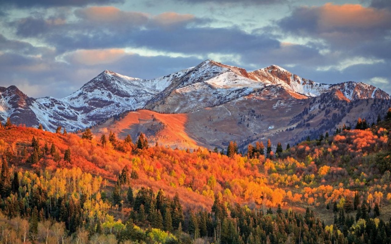 Fall In Love With Utah & Our Luxury Homes