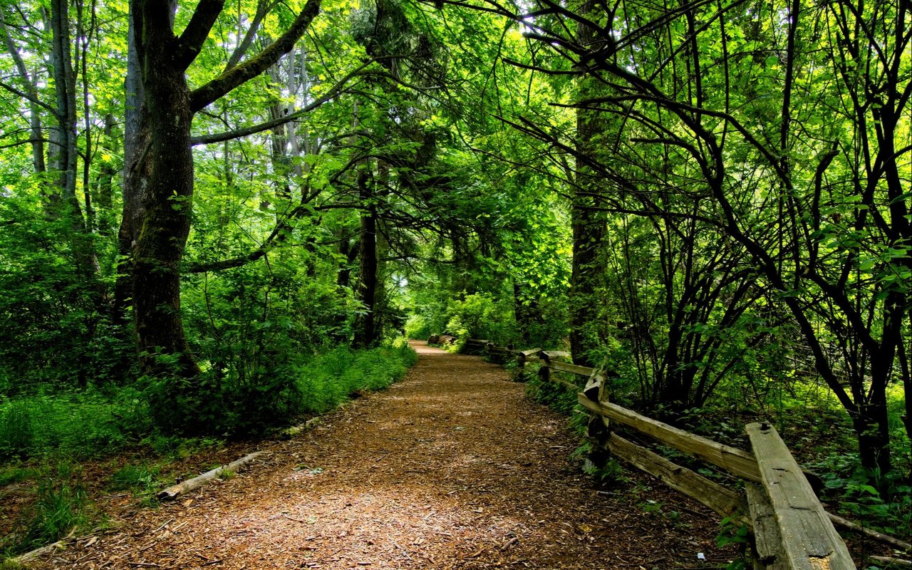 West Oak Trails