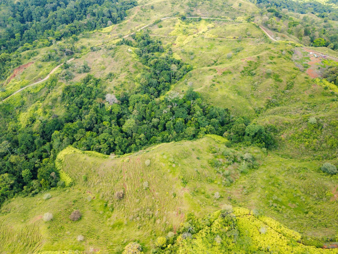 776 Hectares Prime Land in Osa | Ocean Views, Waterfalls, Rivers & Sierpe River Access