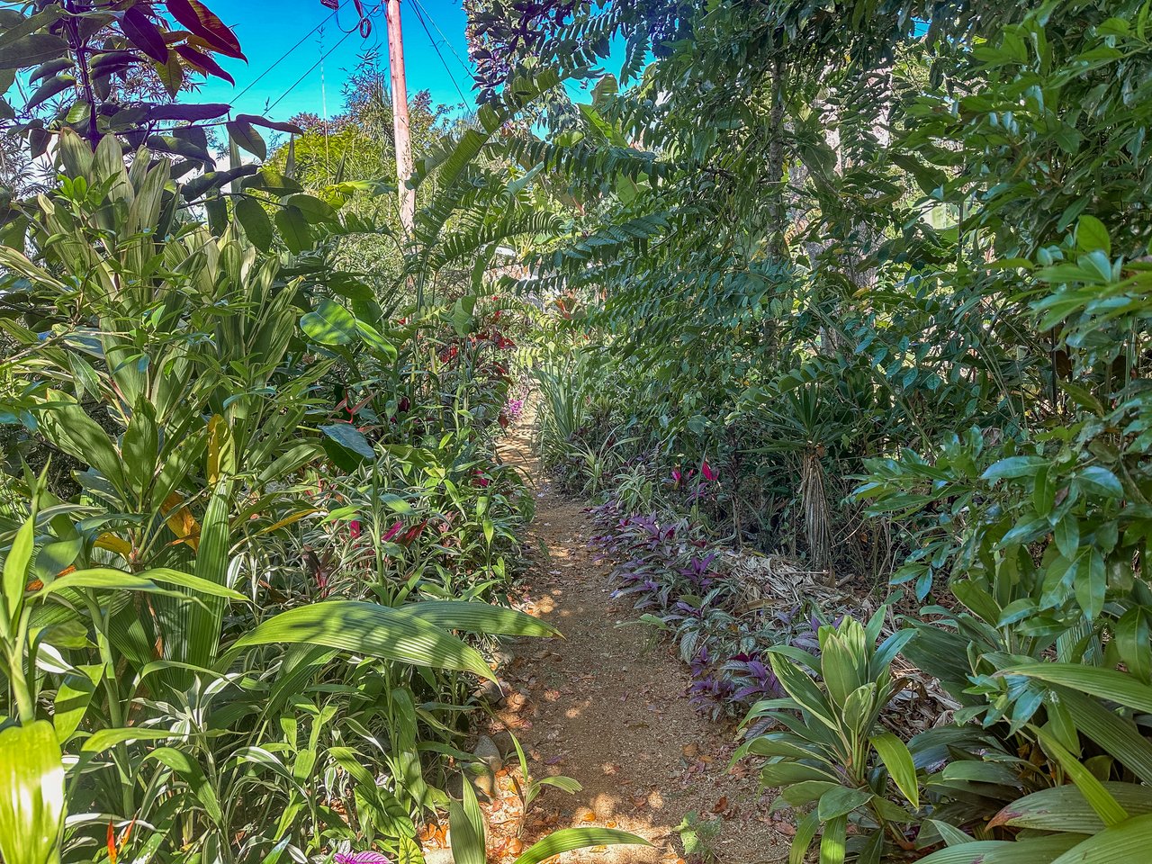 Tinamastes Costa Rica Property with Home, Yoga Deck & Land