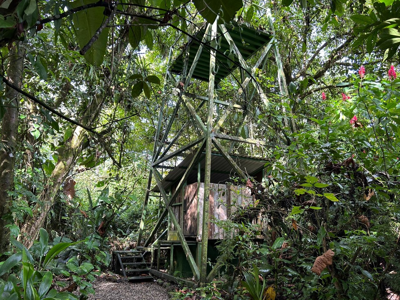 60 Acre Fully Sustainable and Impactful Conservation Initiative Near Golfito
