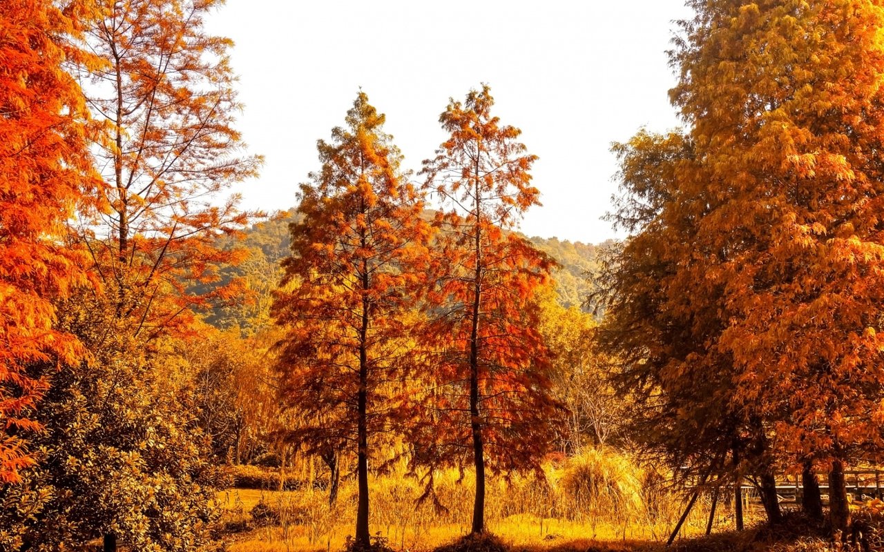 Breckenridge Fall Events '19