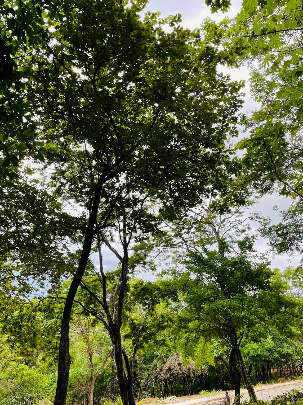 Valle Escondido Development | New Gated Community Near Tamarindo Beach