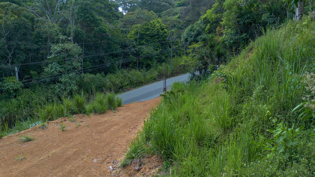 Lote con Potencial Comercial – La Palma, Pérez Zeledón