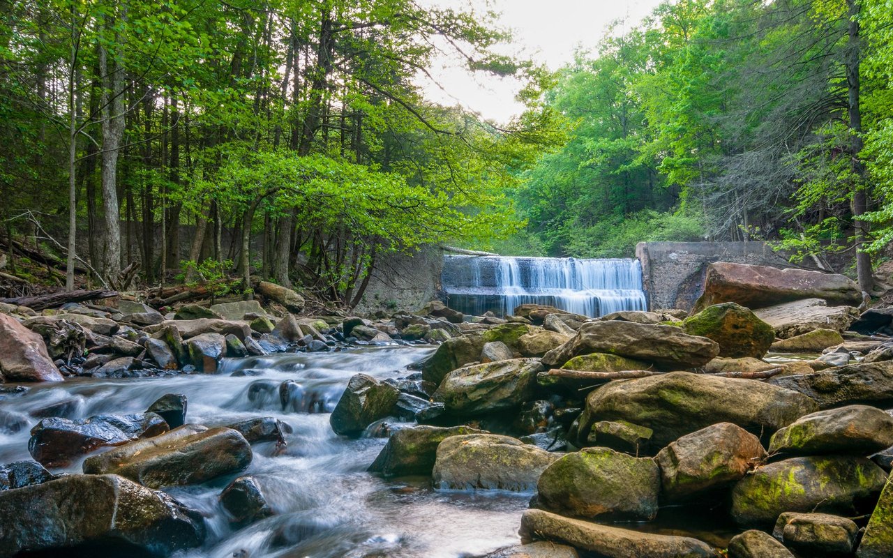 Signal Mountain
