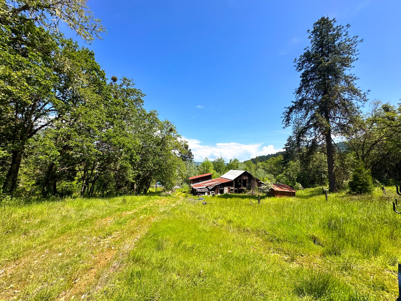 WAGON ROAD HOMESTEAD