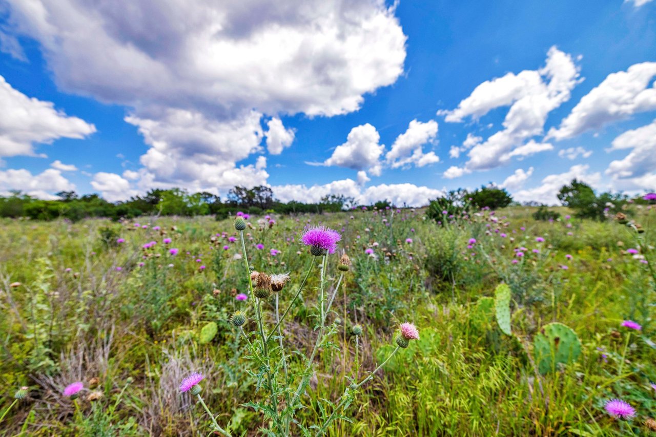 Tract #13 |  RANCHES AT ROUND MOUNTAIN 