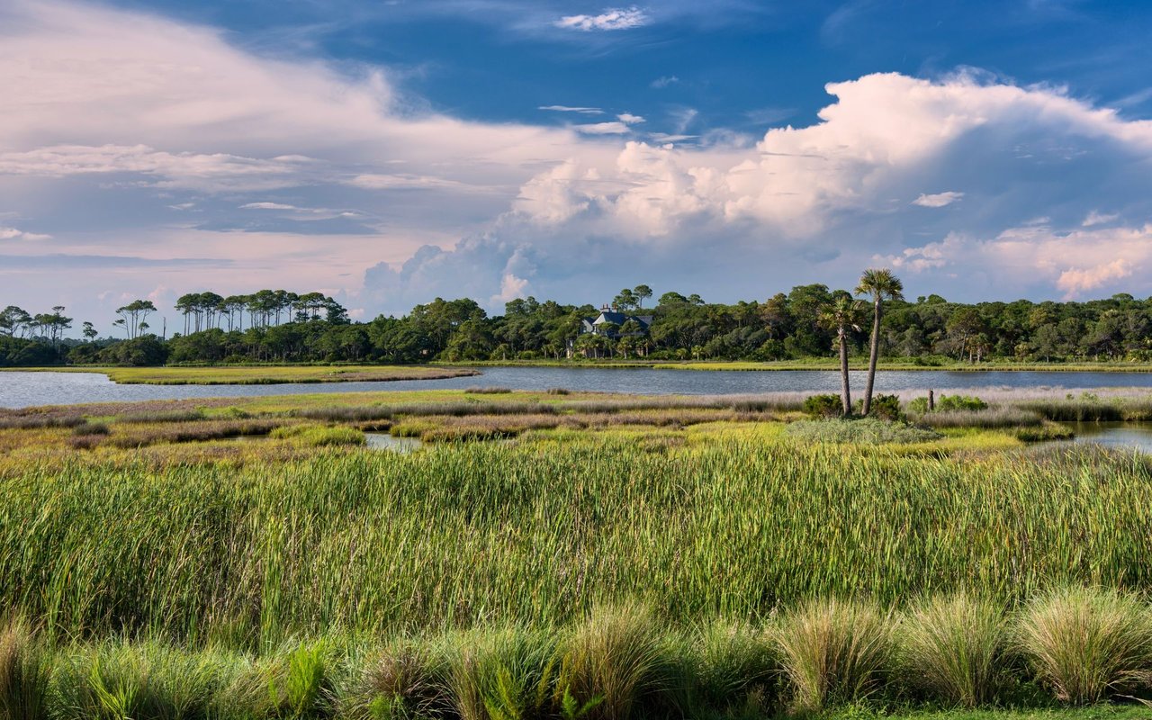 Wadmalaw Island
