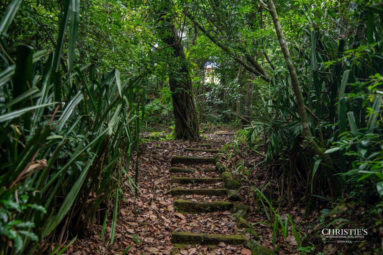 Origins Mineral: A Rare Landholding in Guanacaste’s Volcanic Highlands