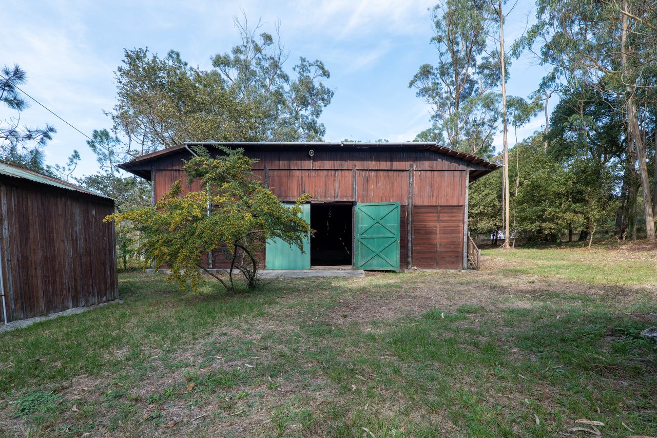 Equestrian Estate in Lavra with 13,000 m² just 800 Meters from the Beach