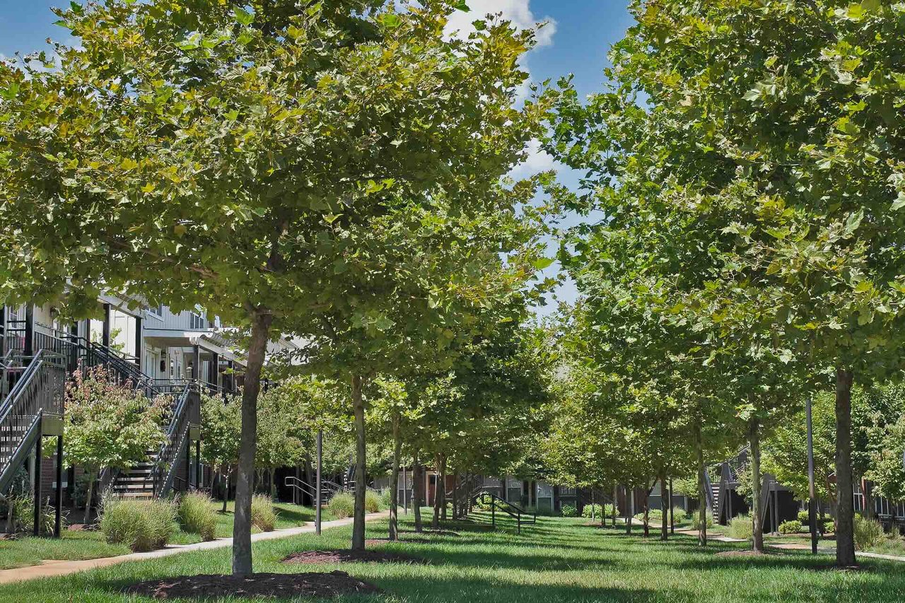 Woodlands of Charlottesville
