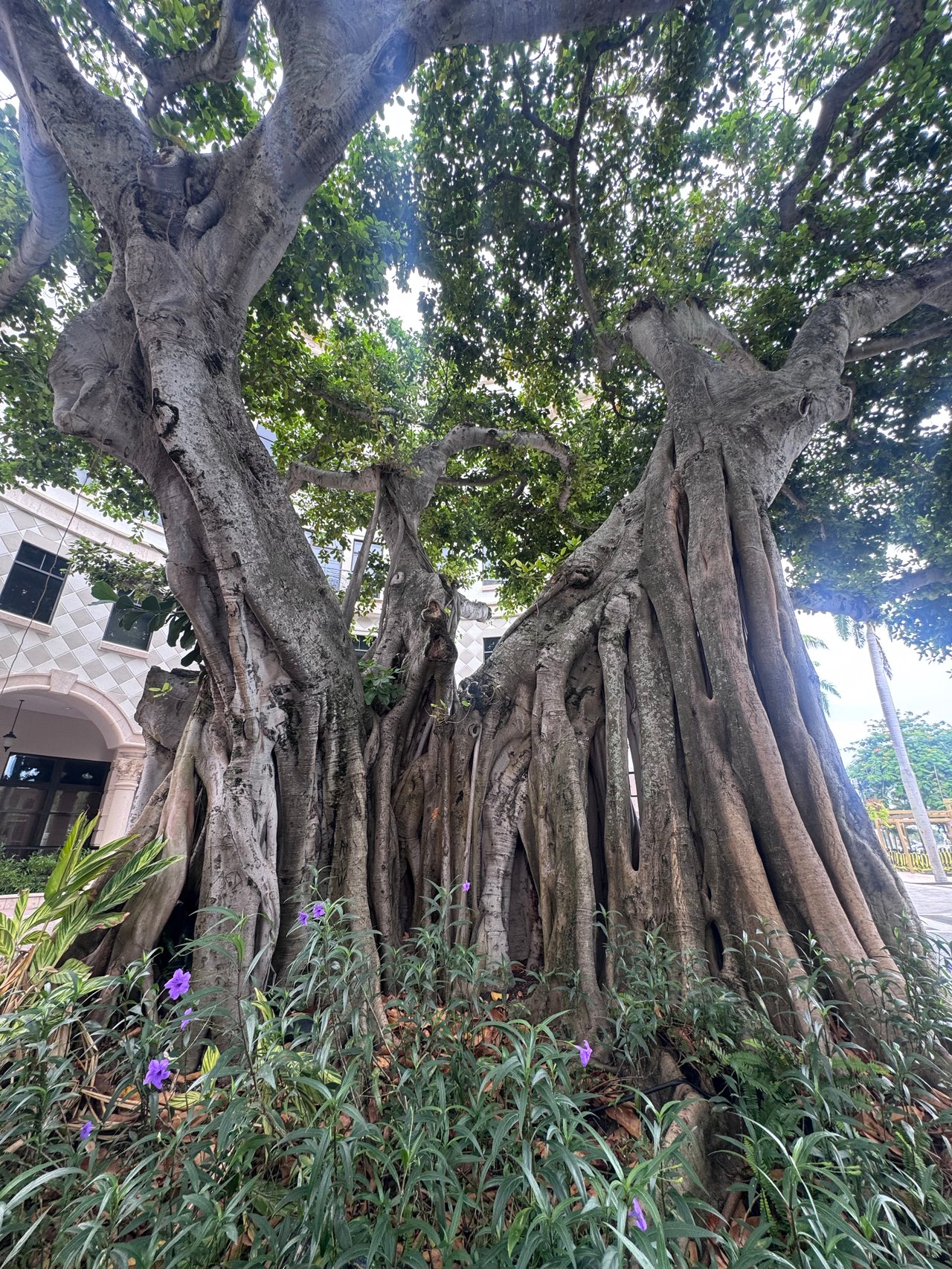 West Palm Beach