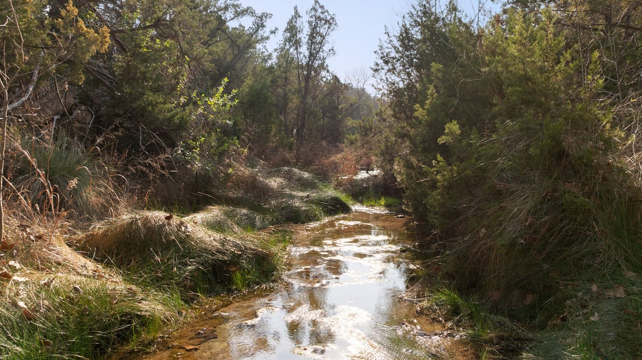 5416 Spring Preserve Trail