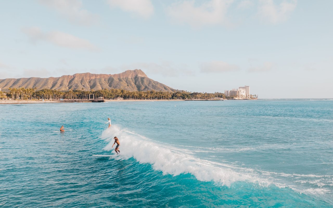 Surfers ride a turquoise wave beside a palm-lined shore, with a mountain ridge in the distance.