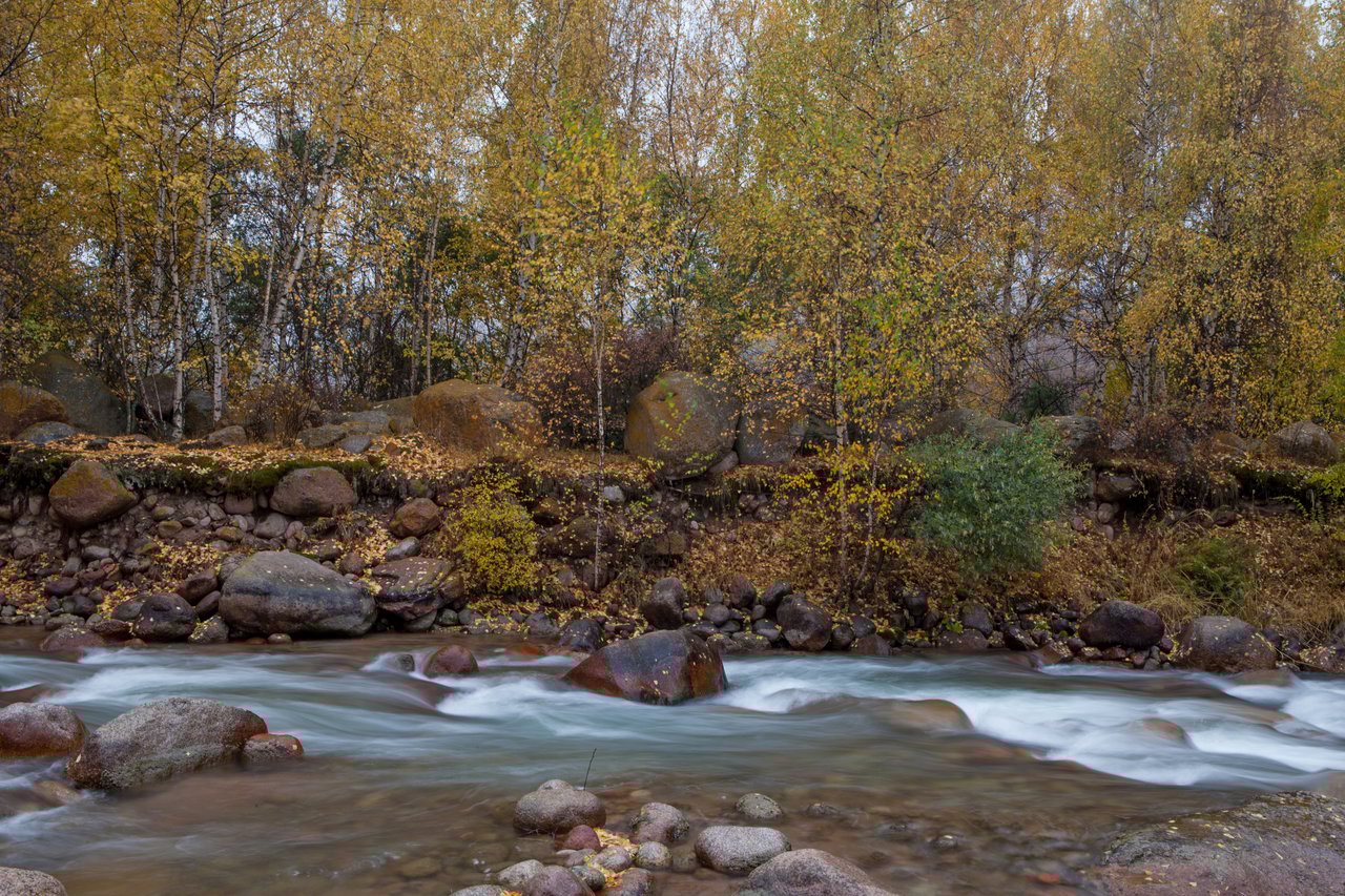 a river rushing by the banks and a real estate agent watching in Otto