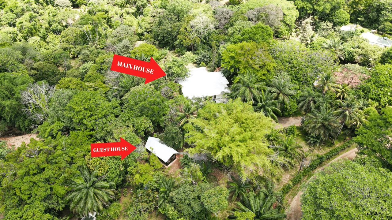 Five Star Private Rainforest Estate on Acreage with Creek